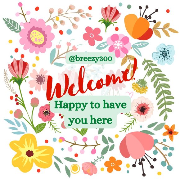 Meet your Posher, Sheila of Cream City Thrifting - Picture 11 of 16